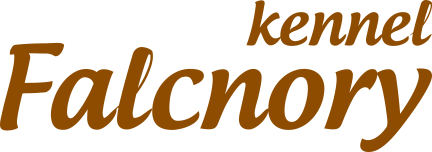 falcnory Logo